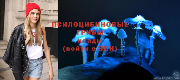 spice Абаза